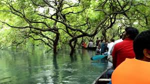 Ratargul Sawam Forest